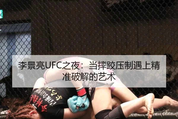 李景亮UFC之夜：当摔跤压制遇上精准破解的艺术