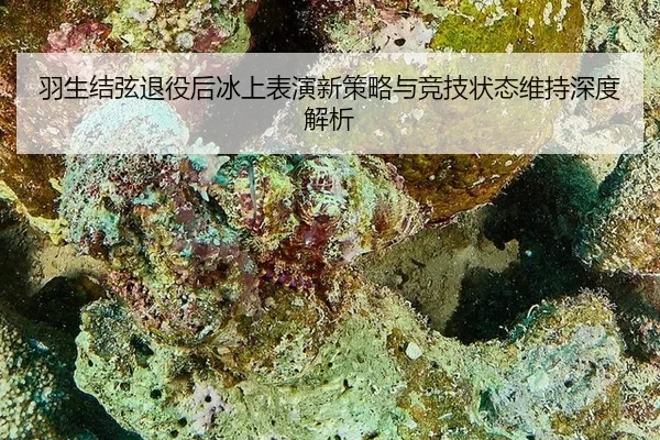 羽生结弦退役后冰上表演新策略与竞技状态维持深度解析